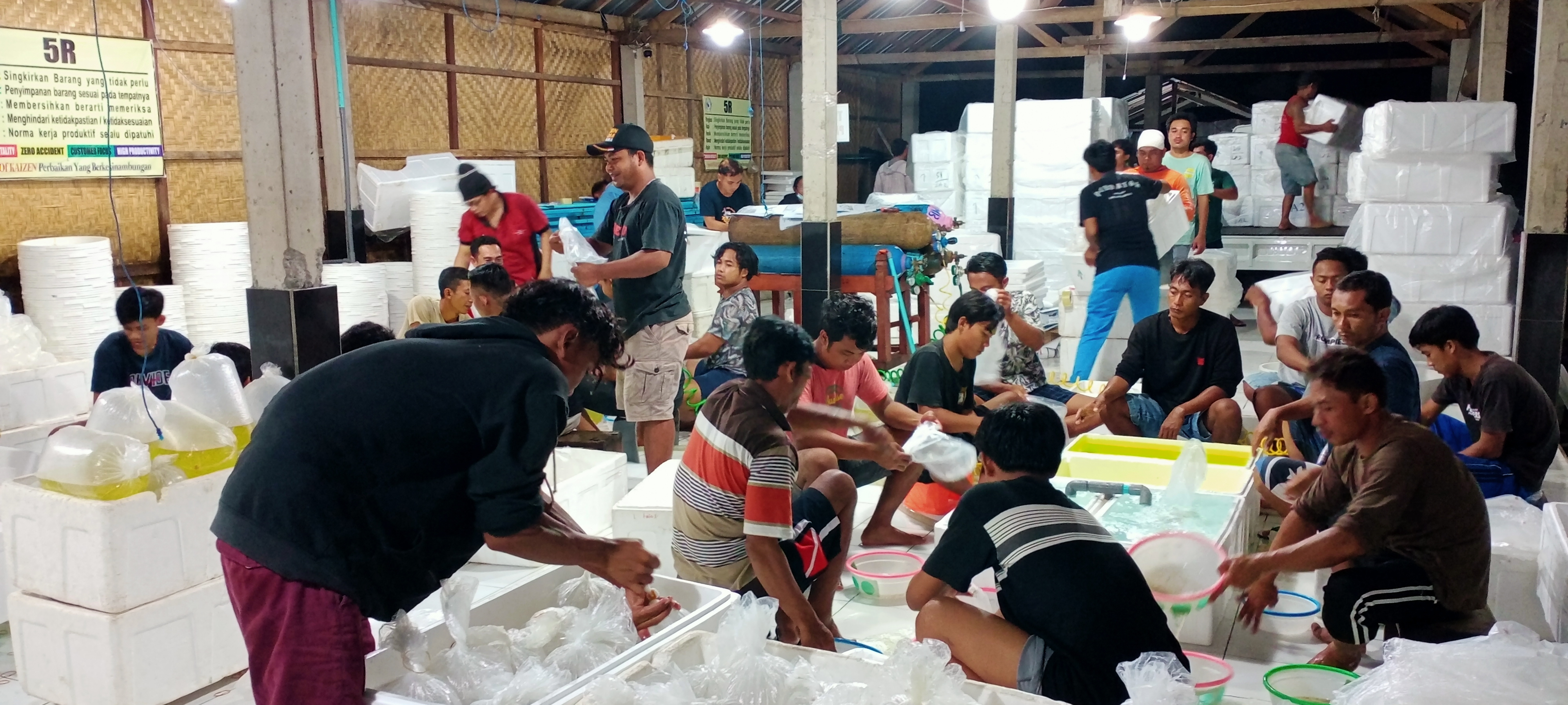  Milkfishfry  Export to Manila, Philippines Gread A and B