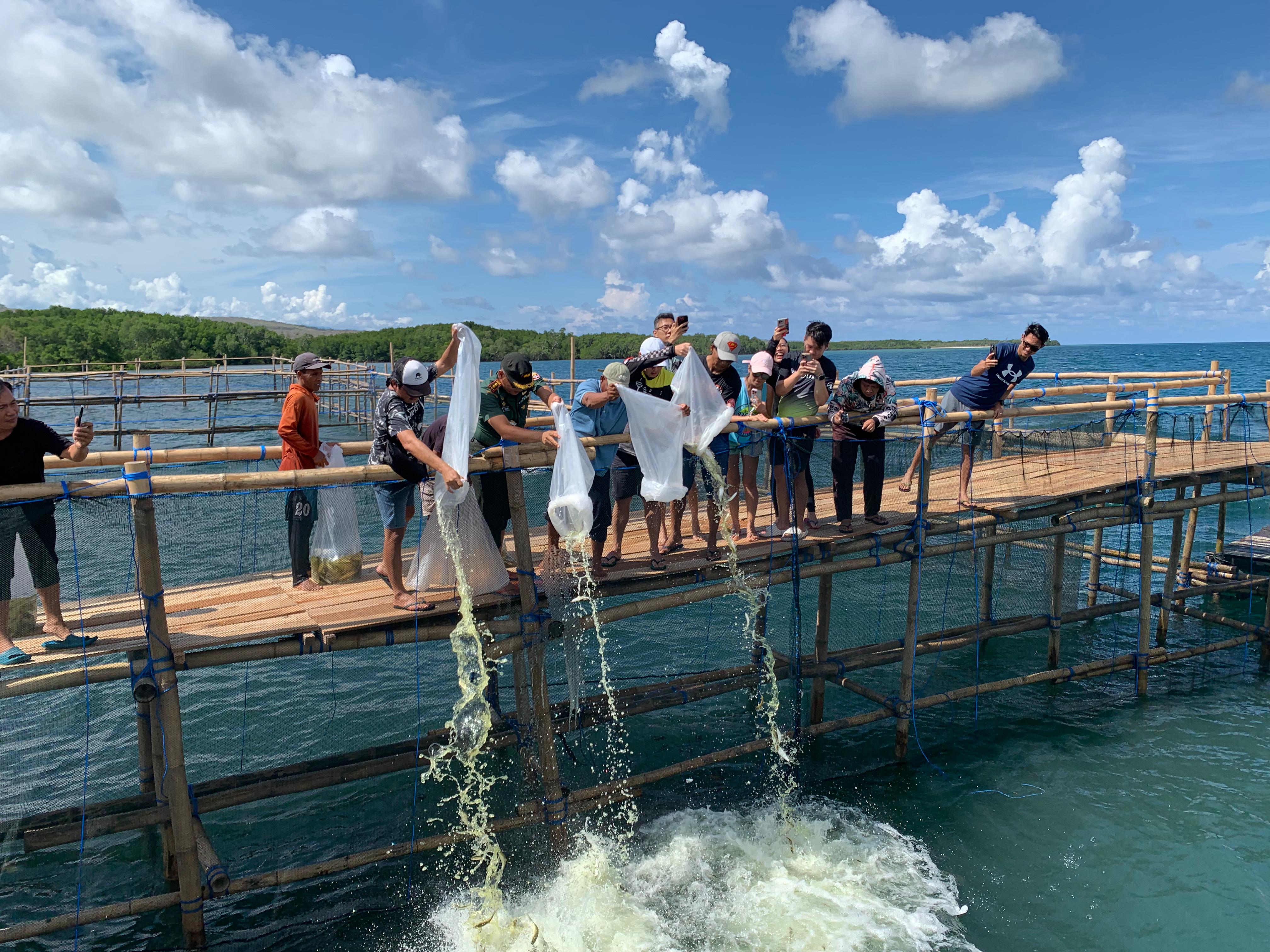 CV Management. Putra Bahari and Dandim 1609/Buleleng Conduct Initial Seed Distribution for Cultivating Milkfish Using Sea Cage System in Sumberklampok Villag