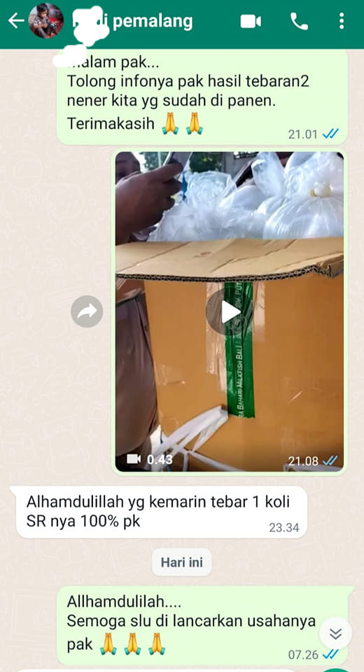 Pemalang Customer Testimonials