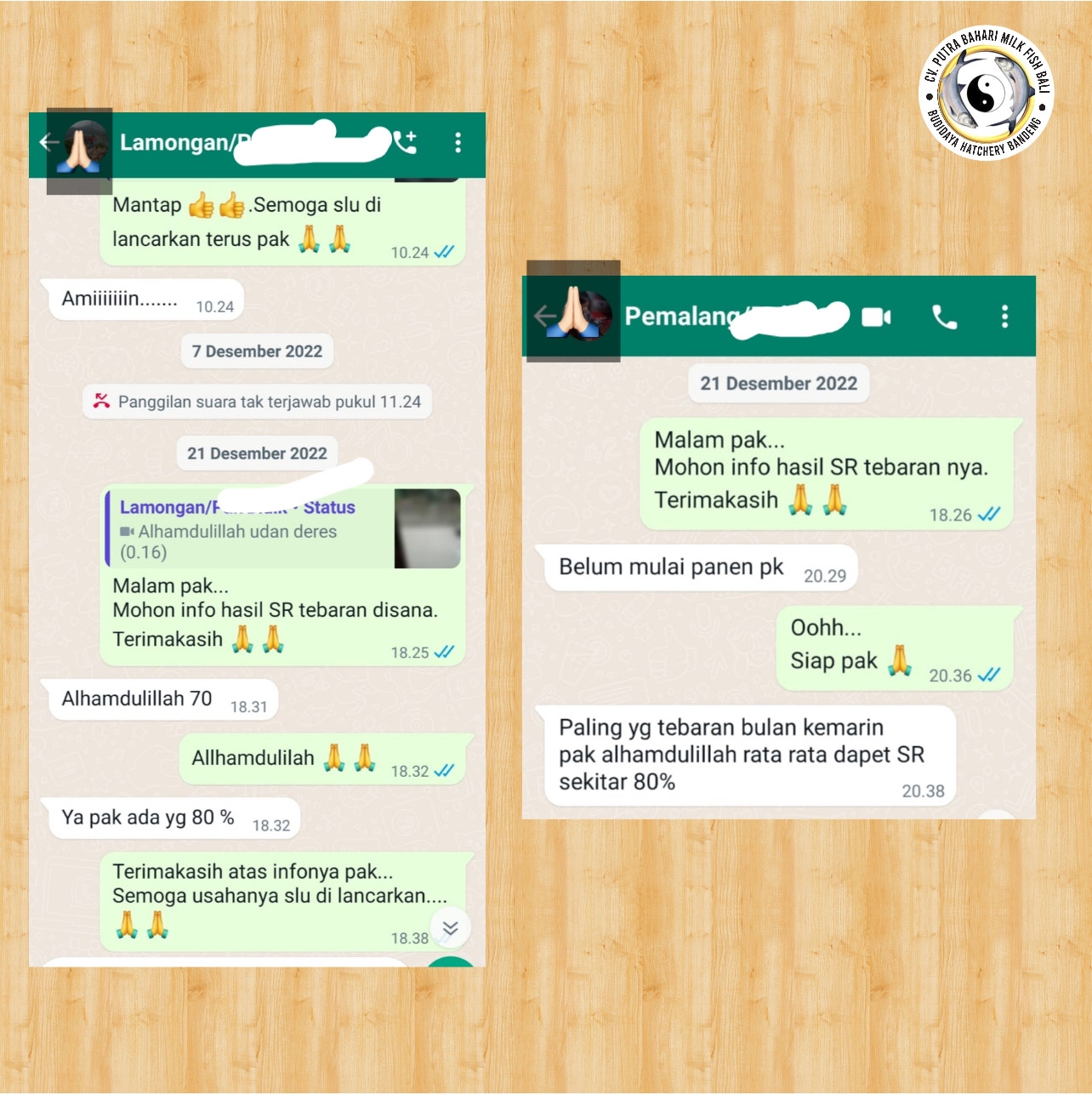 Customer testimonials from Pemalang & Lamongan